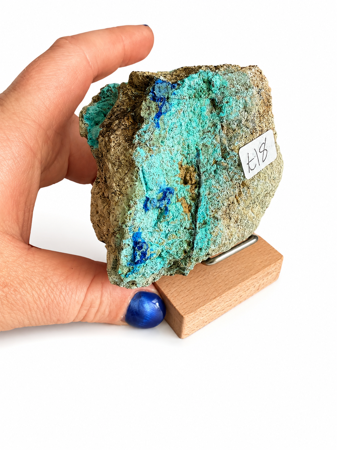 Chrysocolla and azurite natural crystal raw specimen