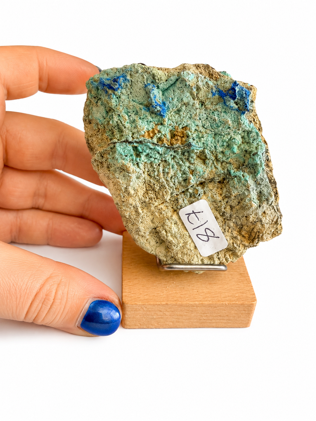 Chrysocolla and azurite natural crystal raw specimen