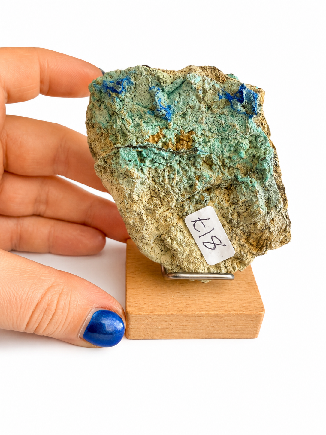 Chrysocolla and azurite natural crystal raw specimen